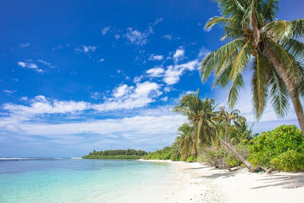 Découvrez la magie des vacances à la montagne cet été